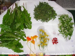 Zutaten zum Trocknen bereit legen