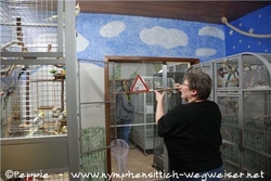 New
Sunday City wird bezogen