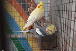 Victor mit Susi im März