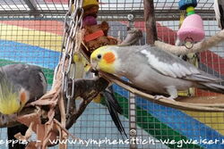 Viktor und Xaver am Lederspielzeug