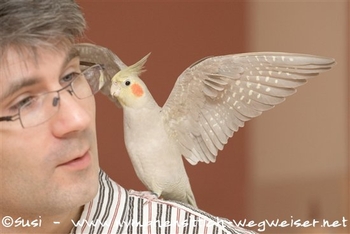 Maxi kommt oft zum Menschen