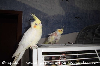 Gonzo und Annika am 09.08.2014
