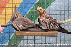 Gretel und Skinny im Juli 2025