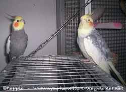 Otto mit seinem Freund Knut