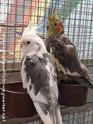 Pacy und Pünktchen im April 2022