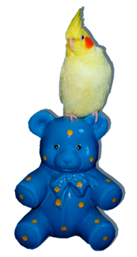 Notfallsparbär