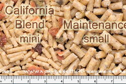 Roudybuch Pellets small