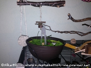 Der Springbrunnen ist fertig  