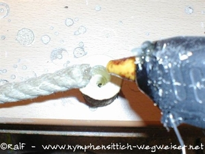 Seil mit Heißkleber fixieren