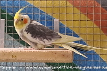 Jacky † Januar 2025