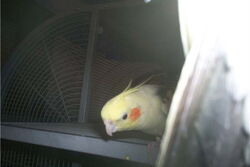 Nico - und Cooper vor der Linse