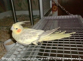 Rainbow an Sunday City 5