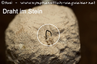 Verletzungsgefahr: Draht im Kalkstein