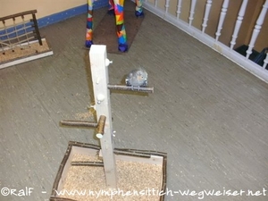 Futterversteck mit Holzscheiben