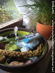 Die ersten Wellis baden