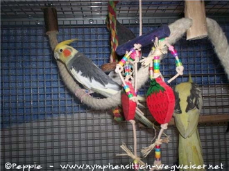 Cooper auf dem Seil in Sunday City