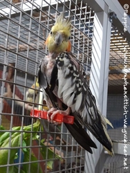 Skinny im Herbst 2019