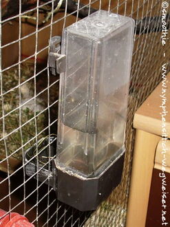 Wasserspender: schlecht zu reinigen