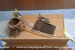 Heidi, Cuddles, Mecki und Gary im Juli 2024