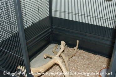 Boden der Daytona mit eingehängten Auffangschürzen