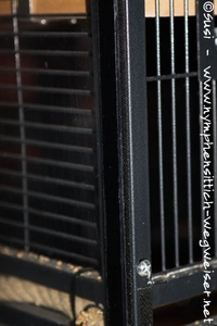 Klettband an der Voliere