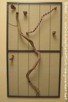 Kletterwand aus einem Trenngitter