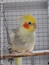 Charly im April 2022