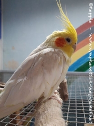 Der Lola im Februar 2023