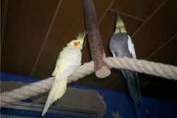 Elisabeth und Jakob beim Freiflug