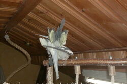 Fino und Lisa lieben sich sehr