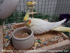 Sponcha-Maja im Oktober 2022