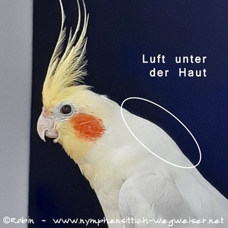 Luft unter der Haut, verursacht durch einen Luftsackriss