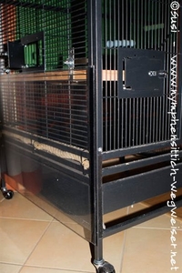 Plexiglasschutz an der Voliere