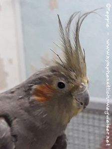 Gretel im Januar 2022