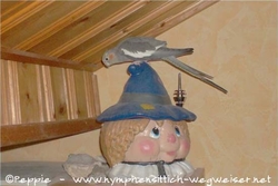 Lisa auf dem Kekstopf