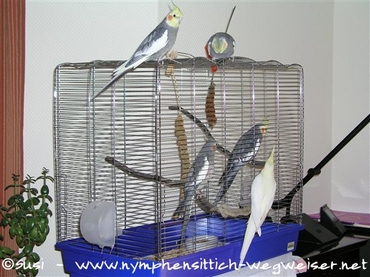 Begrüßung der zwei Neuen