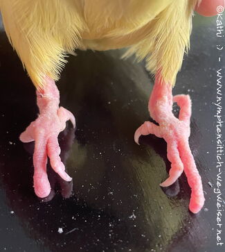 Grabmilben auf den Füßen