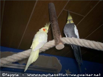 Elisabeth und Jakob beim Freiflug