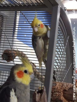 Micky und Otto