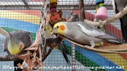 Viktor und Xaver am Lederspielzeug