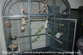 Die Tür der Daytone ist groß genug um rein zu steigen