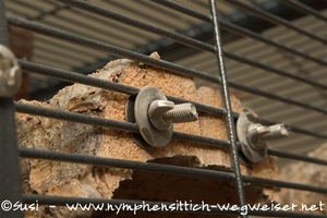 Korksitzbrettchen am Gitter