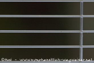 verchromtes Gitter