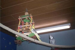 Frau James auf "Höhenflug" mit Justus