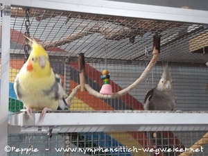 Thira (rechts)  mit Peaches im März 2021