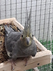 Zadie im Februar 2021