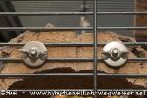 Korksitzbrettchen am Gitter