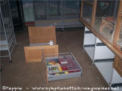 Abbau des Unterbaus von Old Sunday City