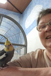 Admiral Wobbles ganz zutraulich