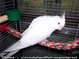 Angelina in der Villa